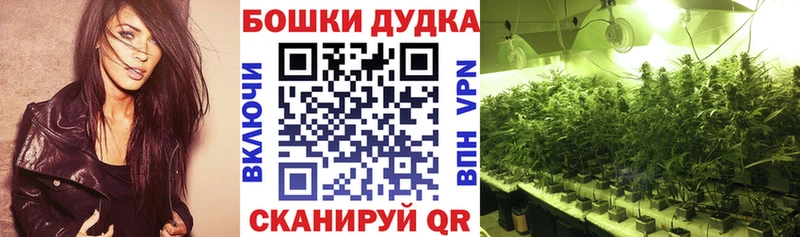 Где найти наркотики Няндома ГАШИШ  Марихуана  АМФ  МЕТАДОН  КОКАИН  APVP  Мефедрон 