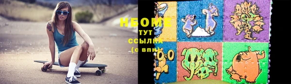 твердый Гусев
