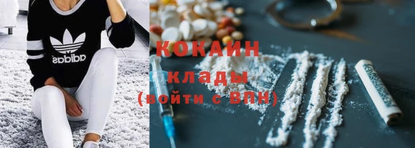 PSILOCYBIN Гусиноозёрск