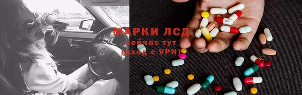 PSILOCYBIN Гусиноозёрск