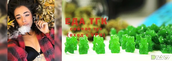 твердый Гусев