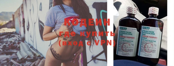 твердый Гусев