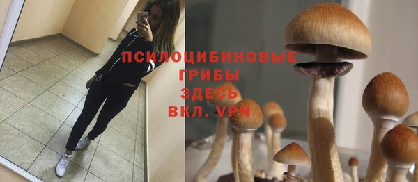 не бодяженный Гусь-Хрустальный