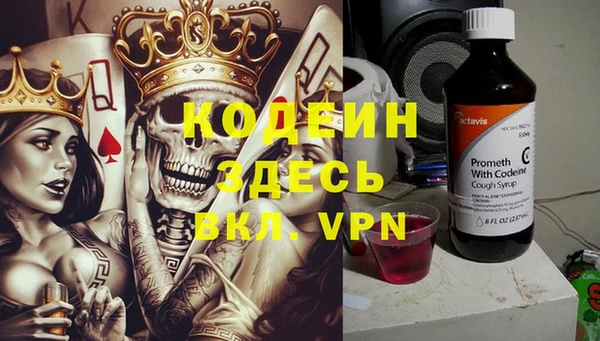 твердый Гусев
