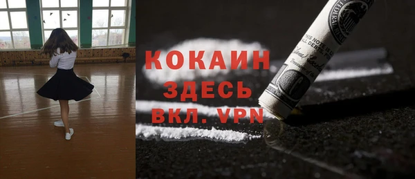 PSILOCYBIN Гусиноозёрск