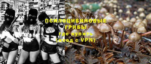 PSILOCYBIN Гусиноозёрск