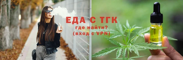 твердый Гусев