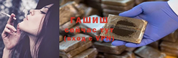 твердый Гусев
