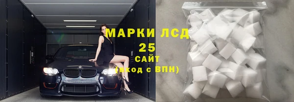 твердый Гусев