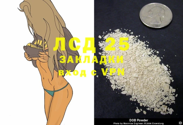 PSILOCYBIN Гусиноозёрск