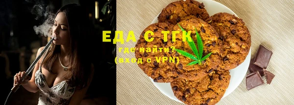 твердый Гусев