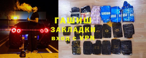 твердый Гусев