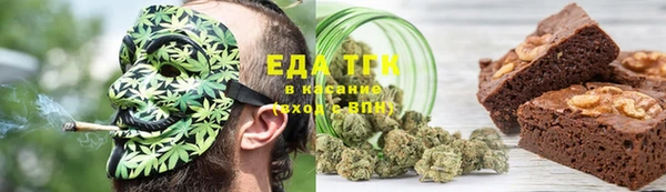 PSILOCYBIN Гусиноозёрск