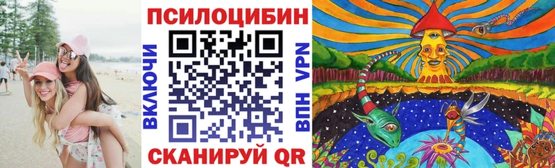 Галлюциногенные грибы Psilocybine cubensis  Няндома 