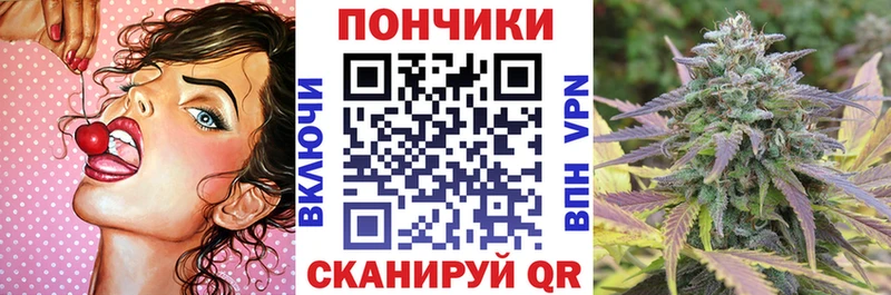 Шишки марихуана индика  Няндома 